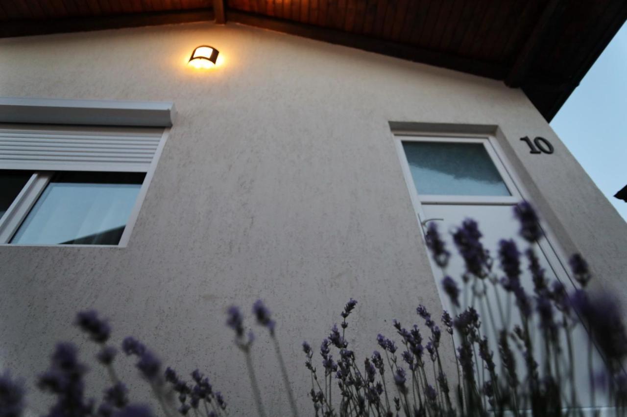 La Casute Tasaul Năvodari Exterior foto